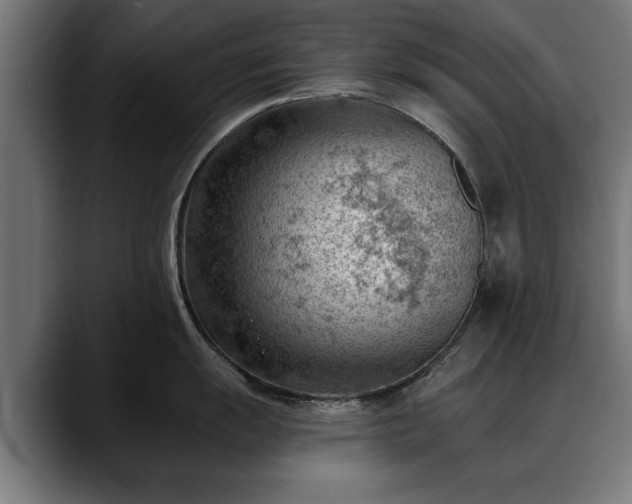 X0000088451055200705291509