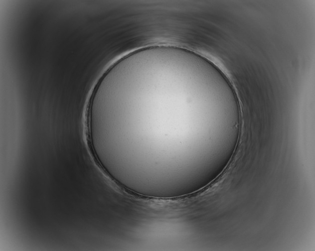 X0000088451056200705291509