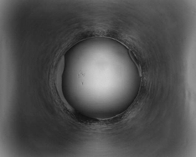 X0000088451057200705291508