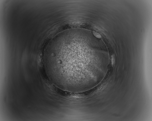 X0000088451059200705291508