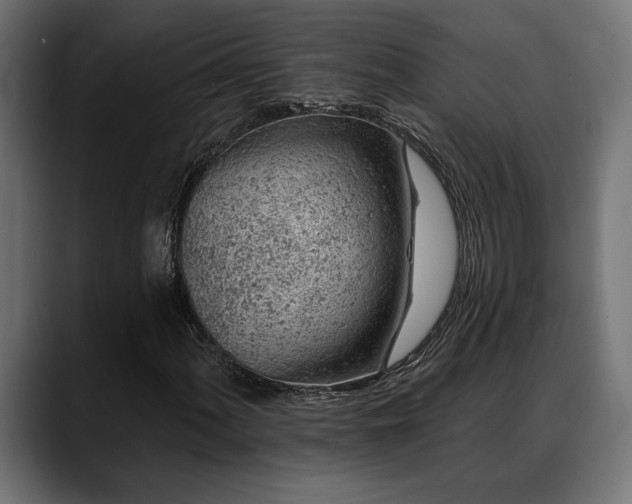 X0000088451060200705291508