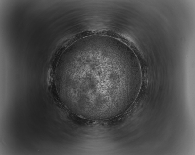 X0000088451063200705291508