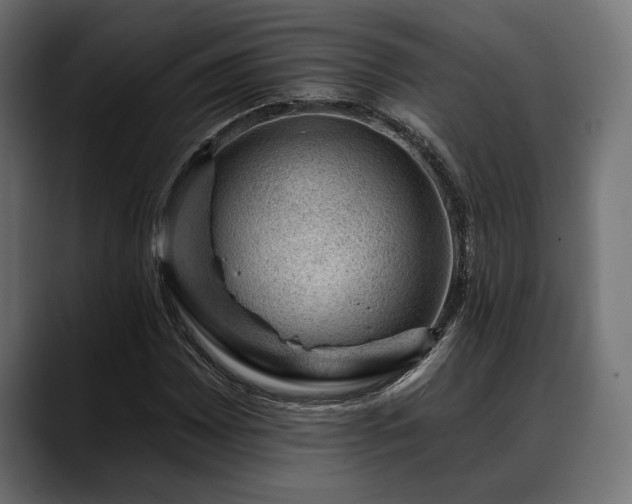 X0000088451065200705291508