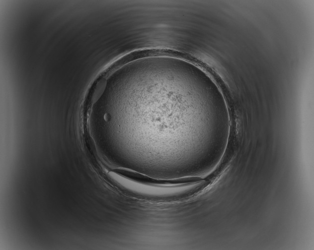 X0000088451069200705291508