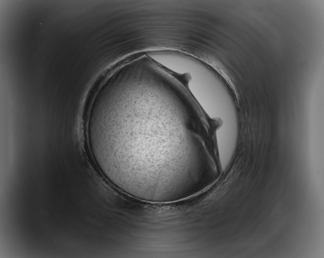 X0000088451072200705291508