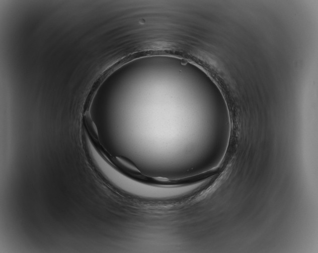 X0000088451073200705291508