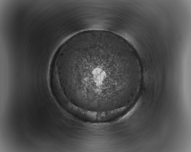 X0000088451077200705291508