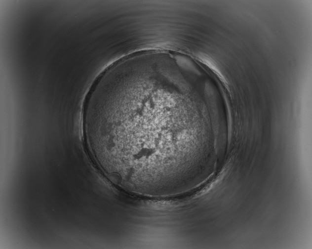 X0000088451079200705291508