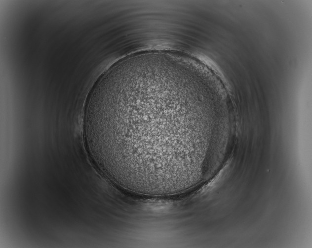 X0000088451081200705291508