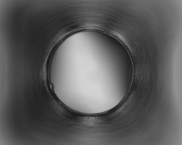 X0000088451082200705291508