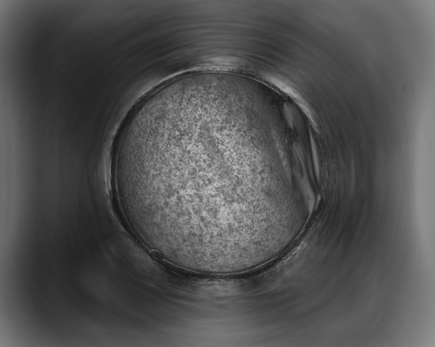 X0000088451083200705291508