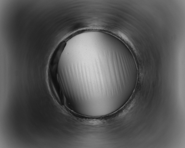 X0000088451085200705291508