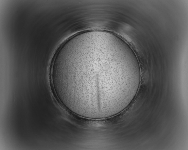 X0000088451086200705291508