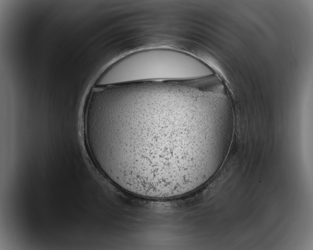 X0000088451088200705291508