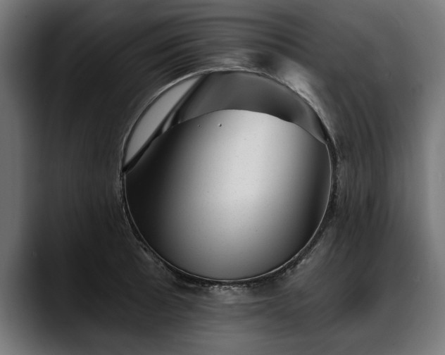 X0000088451089200705291508
