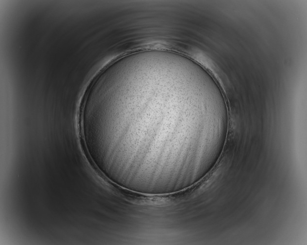 X0000088451090200705291508
