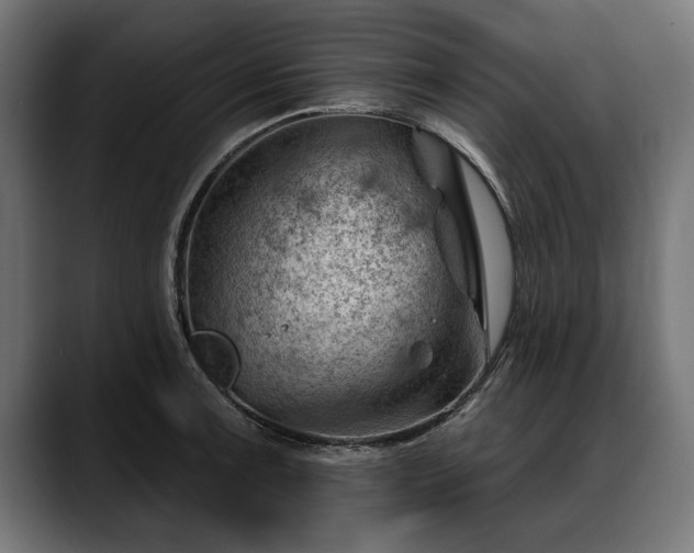 X0000088451091200705291508