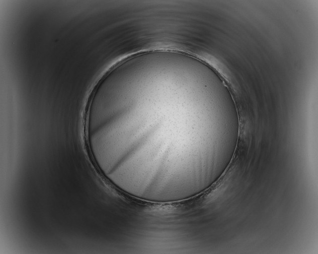 X0000088451094200705291508