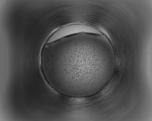 X0000088451095200705291508