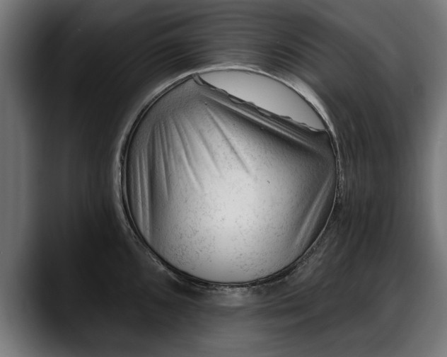 X0000088451096200705291508