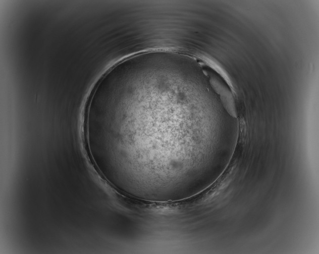 X0000088451099200705291508