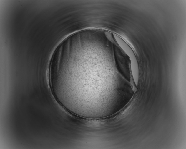 X0000088451100200705291508