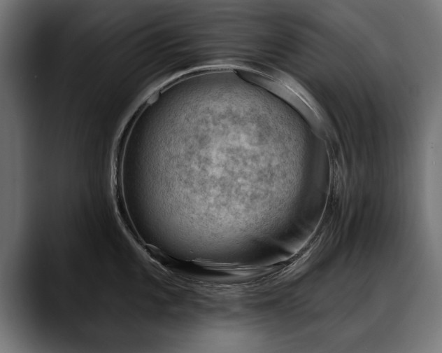 X0000088451101200705291508