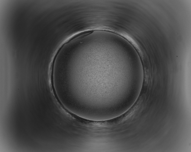 X0000088451102200705291508