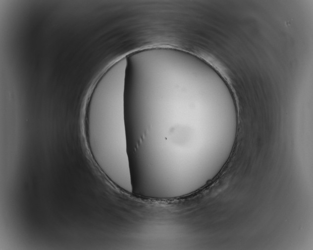X0000088451104200705291508