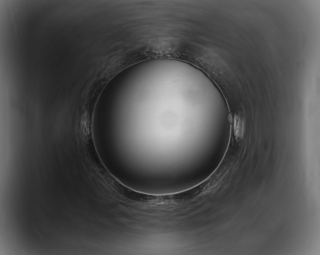 X0000088451107200705291507