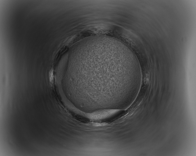 X0000088451108200705291507