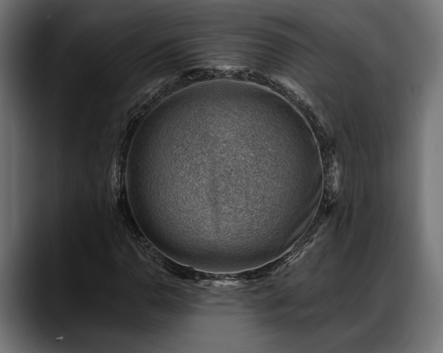 X0000088451110200705291507