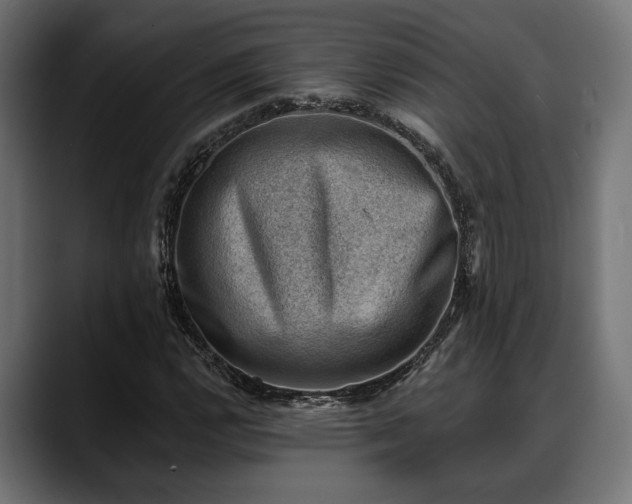X0000088451112200705291507