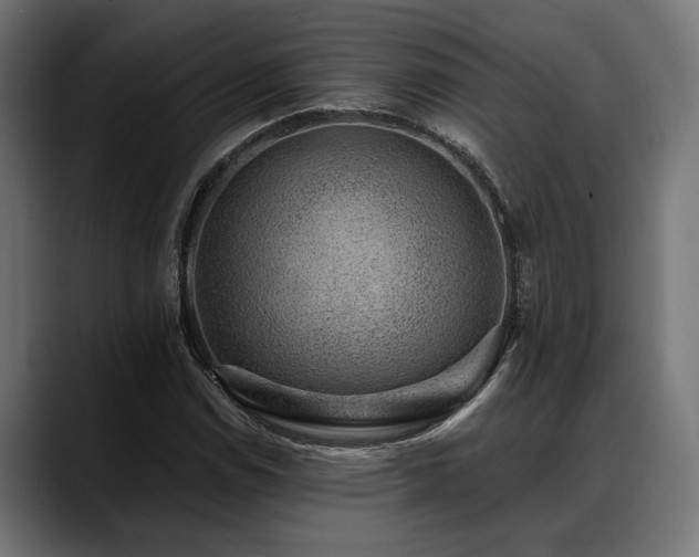 X0000088451114200705291507