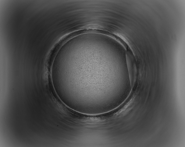 X0000088451115200705291507