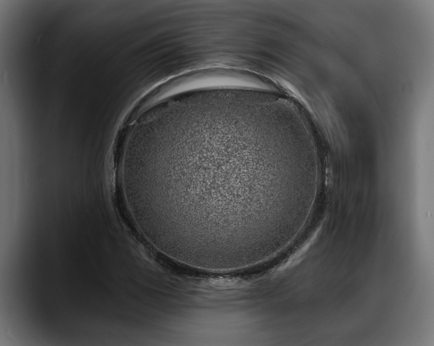 X0000088451117200705291507