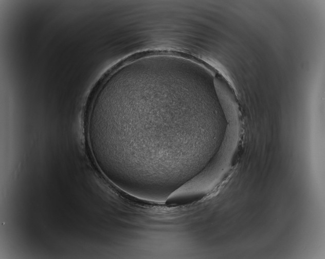 X0000088451120200705291507