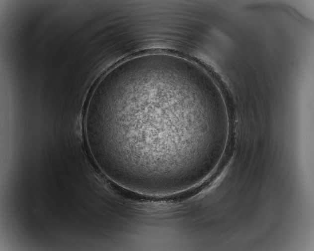 X0000088451121200705291508