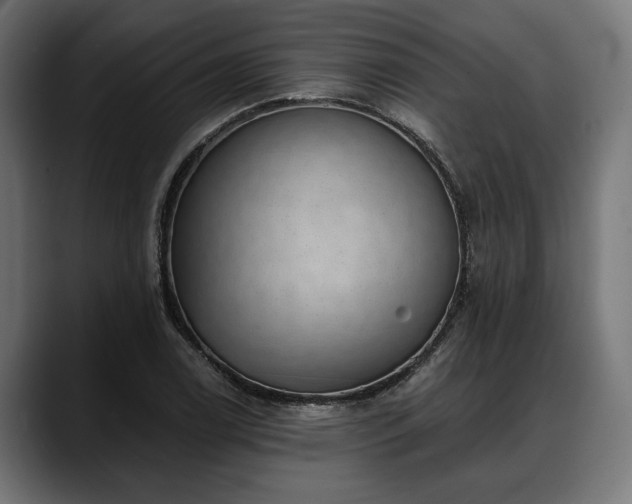 X0000088451122200705291508