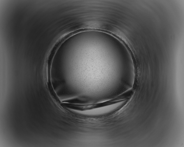 X0000088451123200705291508