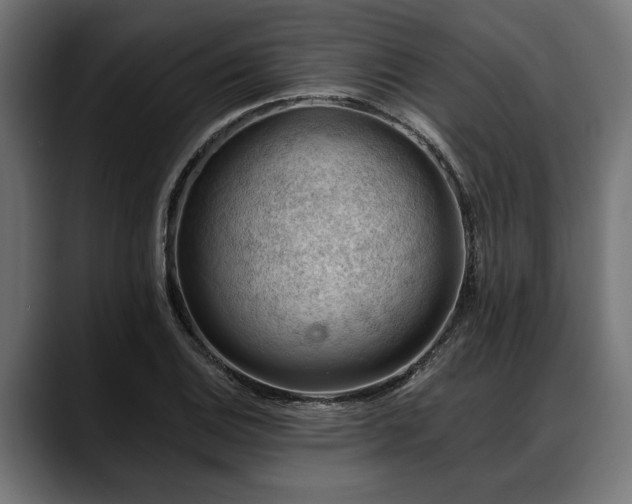X0000088451124200705291508