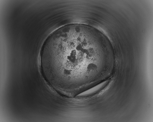 X0000088451125200705291508
