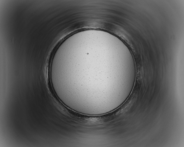 X0000088451130200705291508