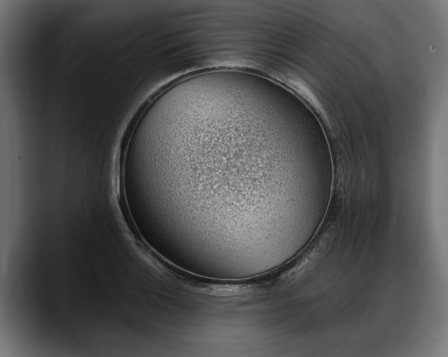 X0000088451132200705291508