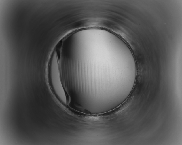 X0000088451134200705291508