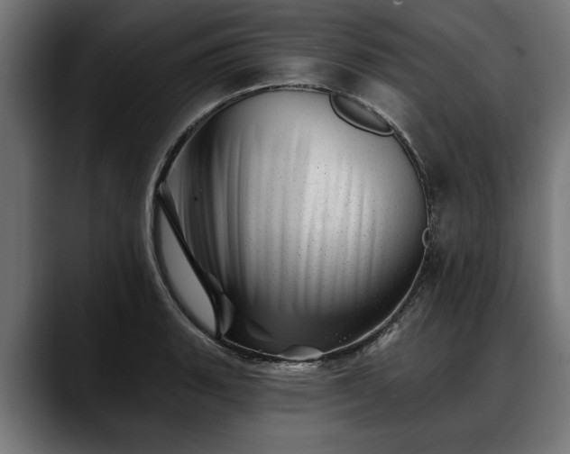 X0000088451135200705291508