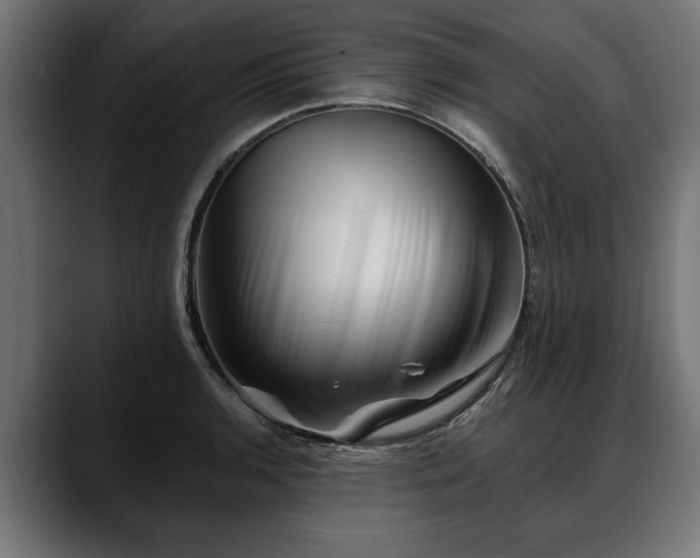X0000088451136200705291508