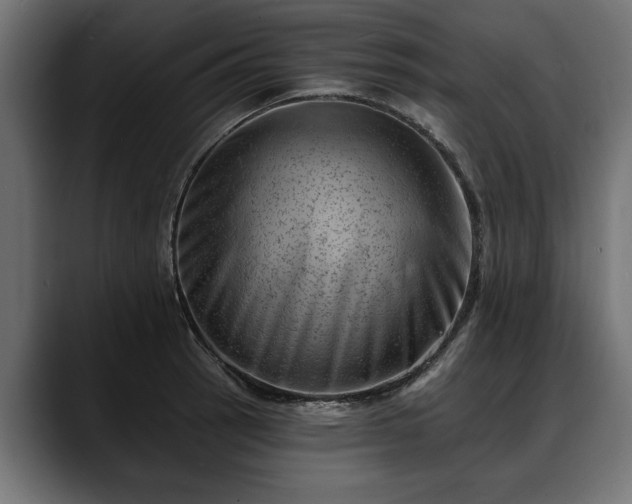 X0000088451137200705291508