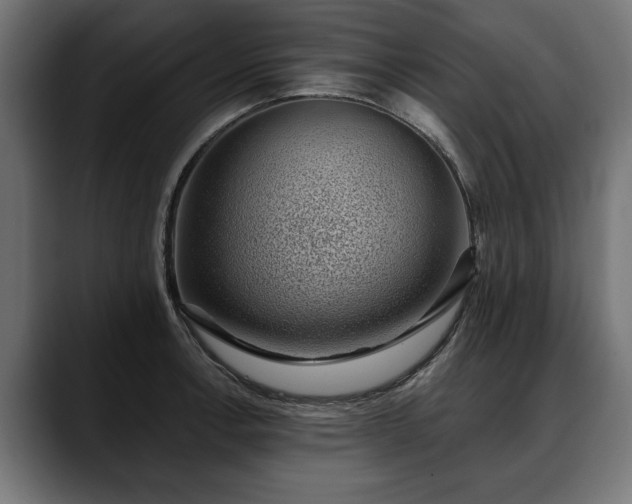 X0000088451138200705291508