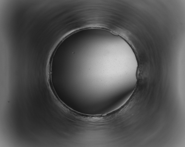 X0000088451140200705291508